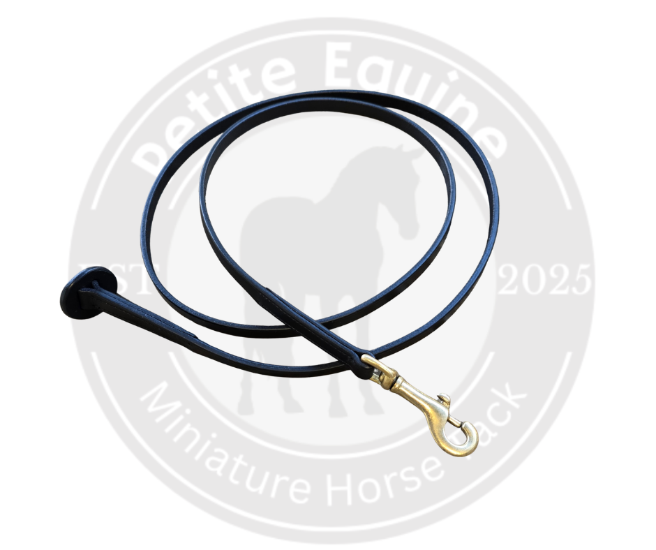 Leather Show Lead | Brass Clip
