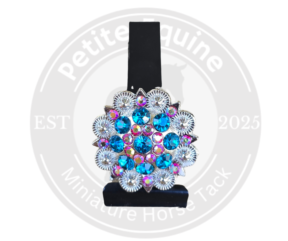 Rhinestone Concho Number Clip