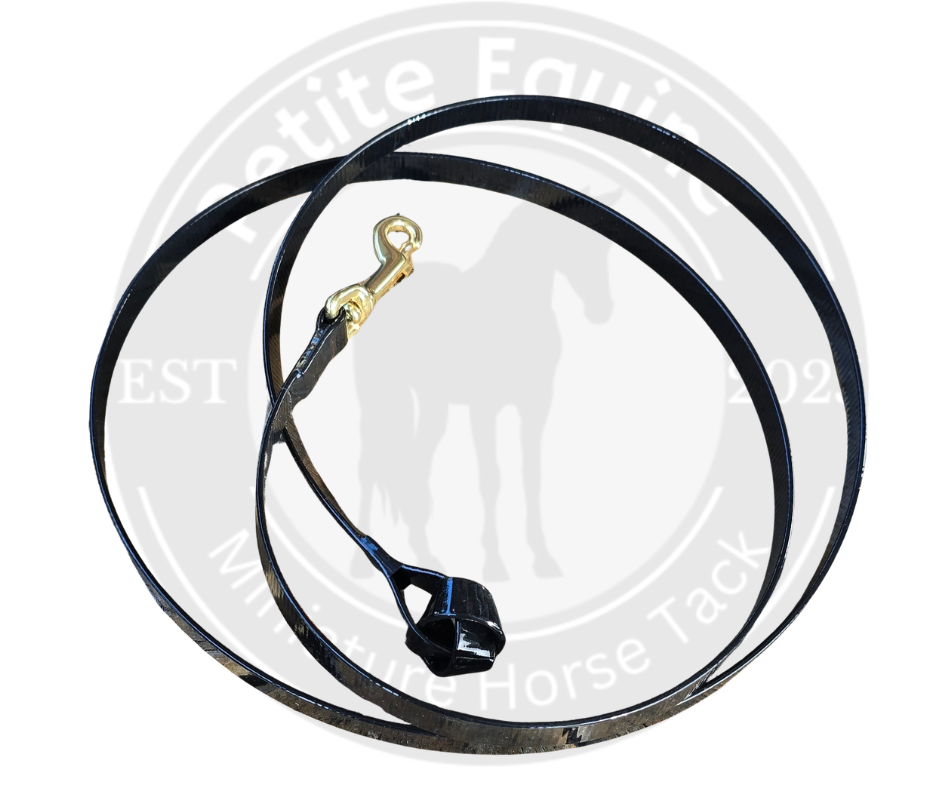 Biothain Show Lead | Brass Snap Clip