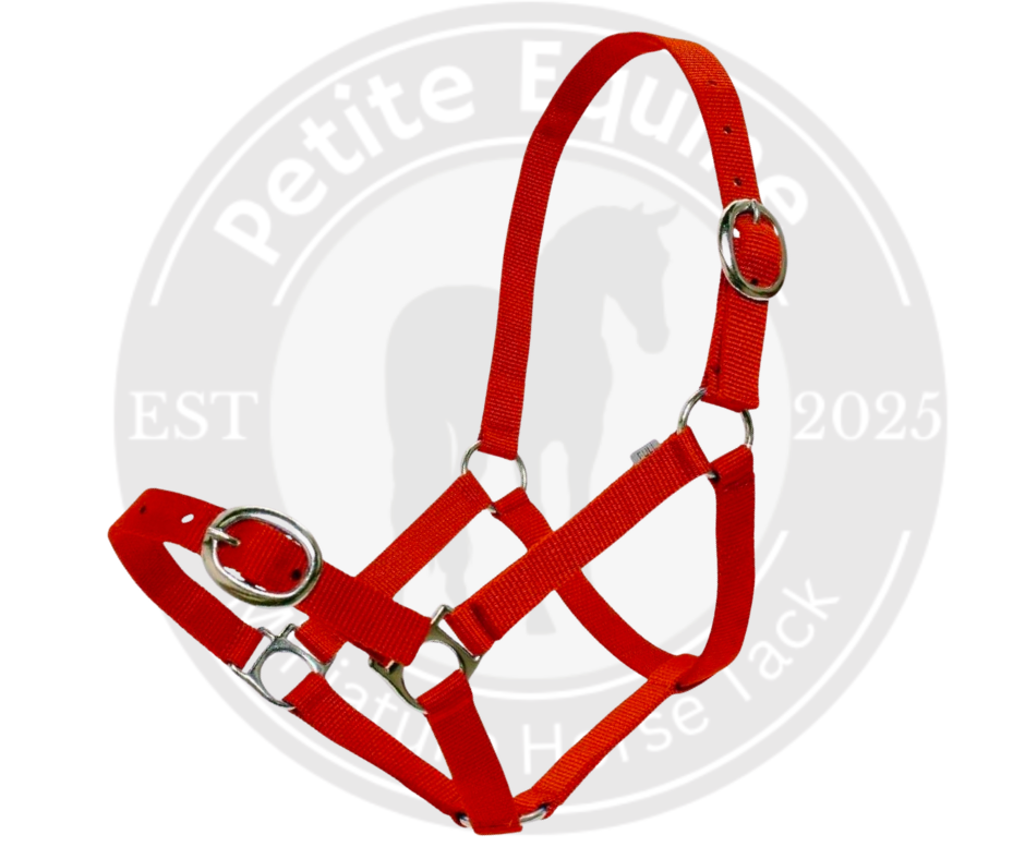 Stable Tack