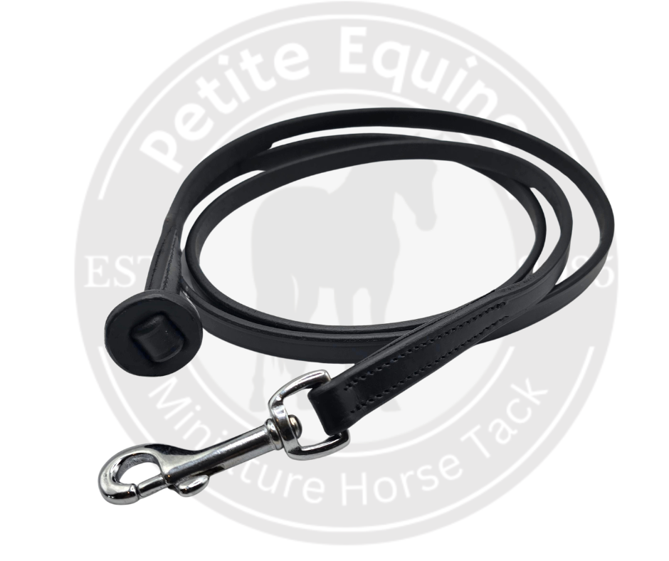 Show Leads