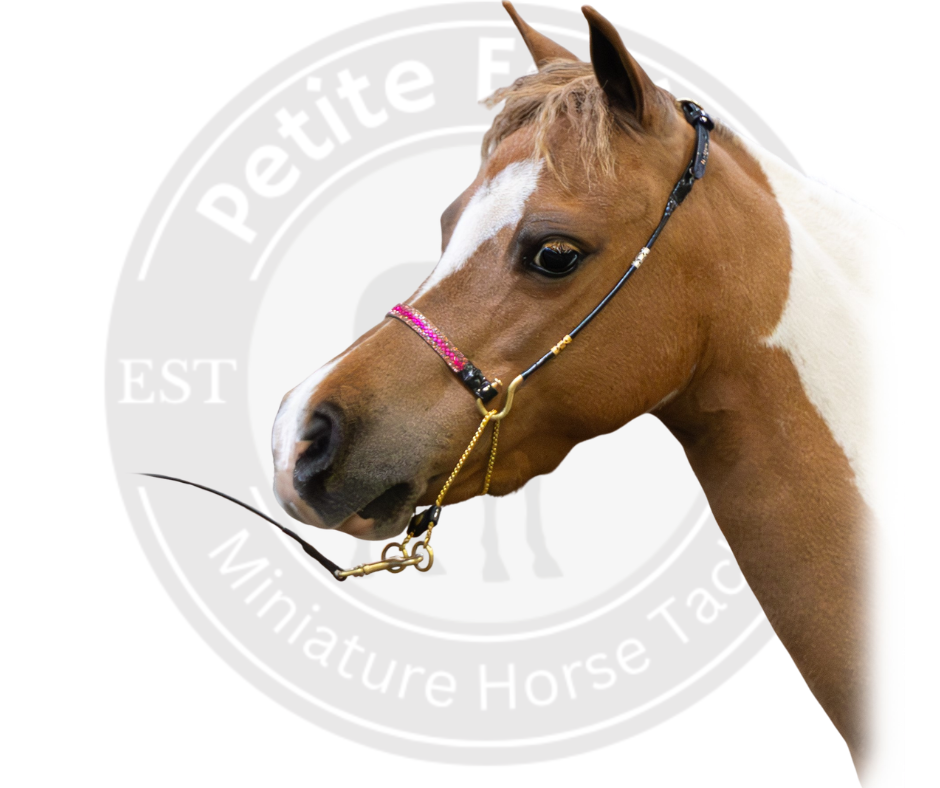 J Hook Show Halters