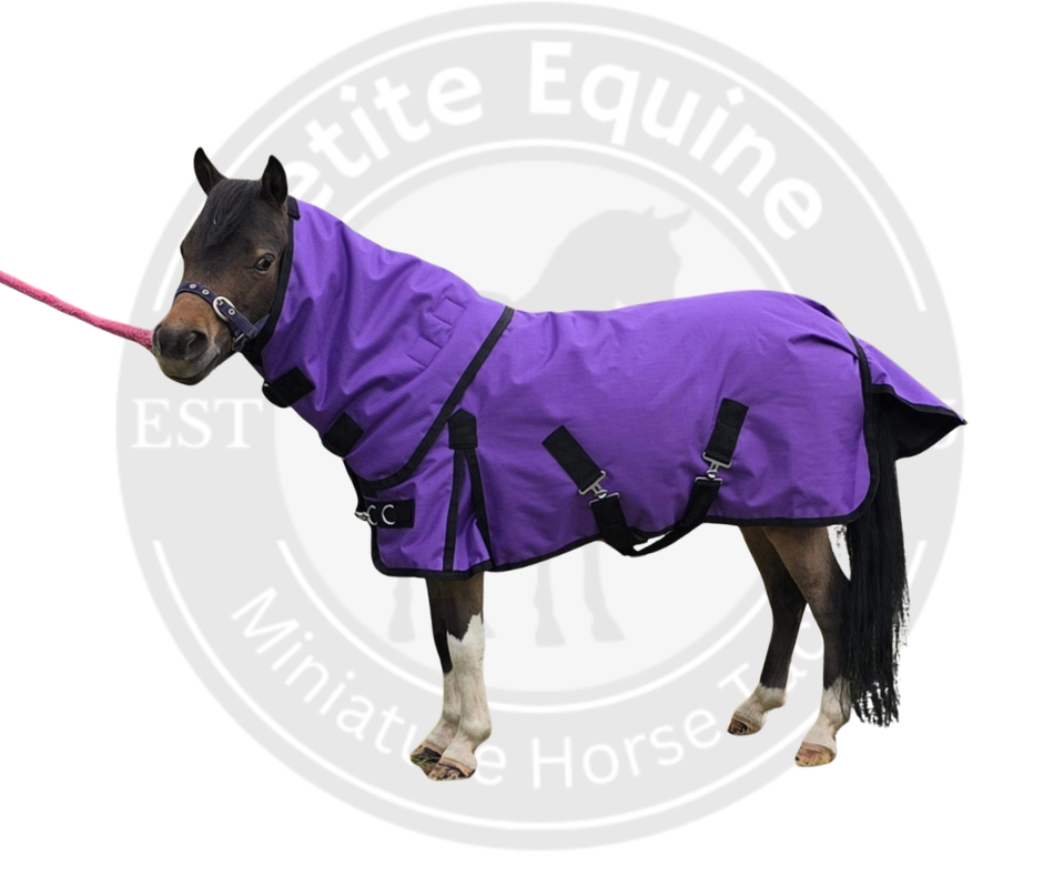 Autumn Miniature Horse Rugs