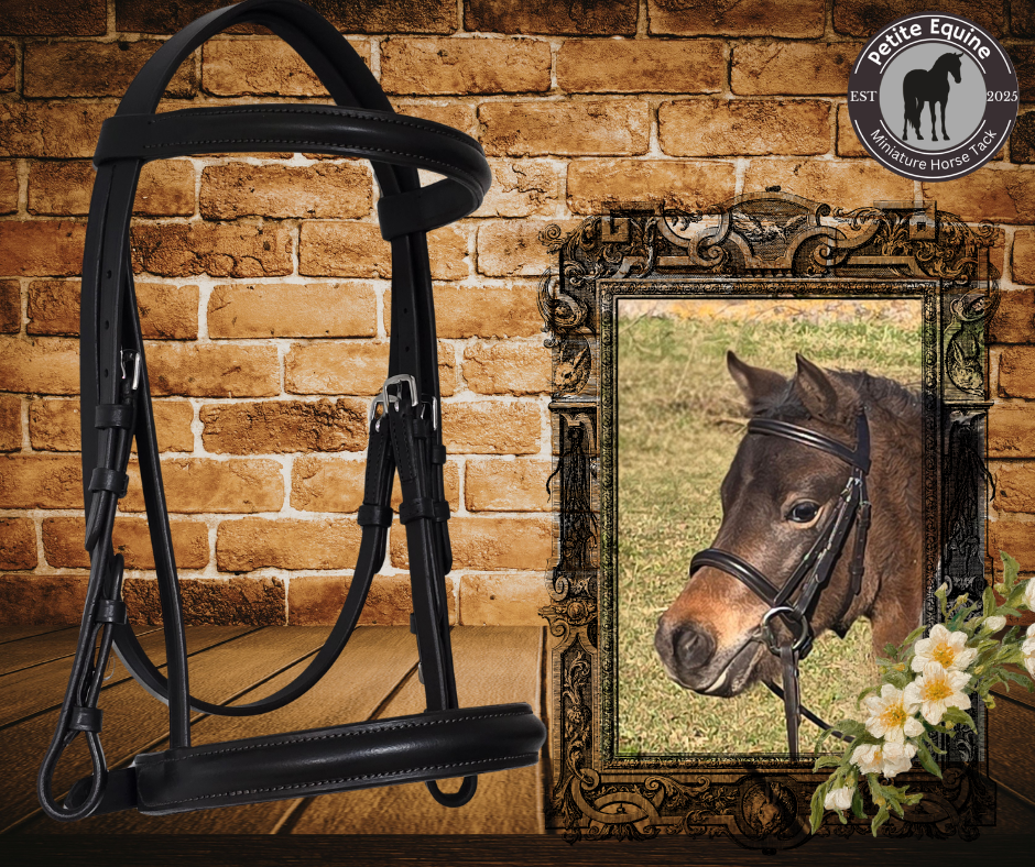 Snaffle Bridle