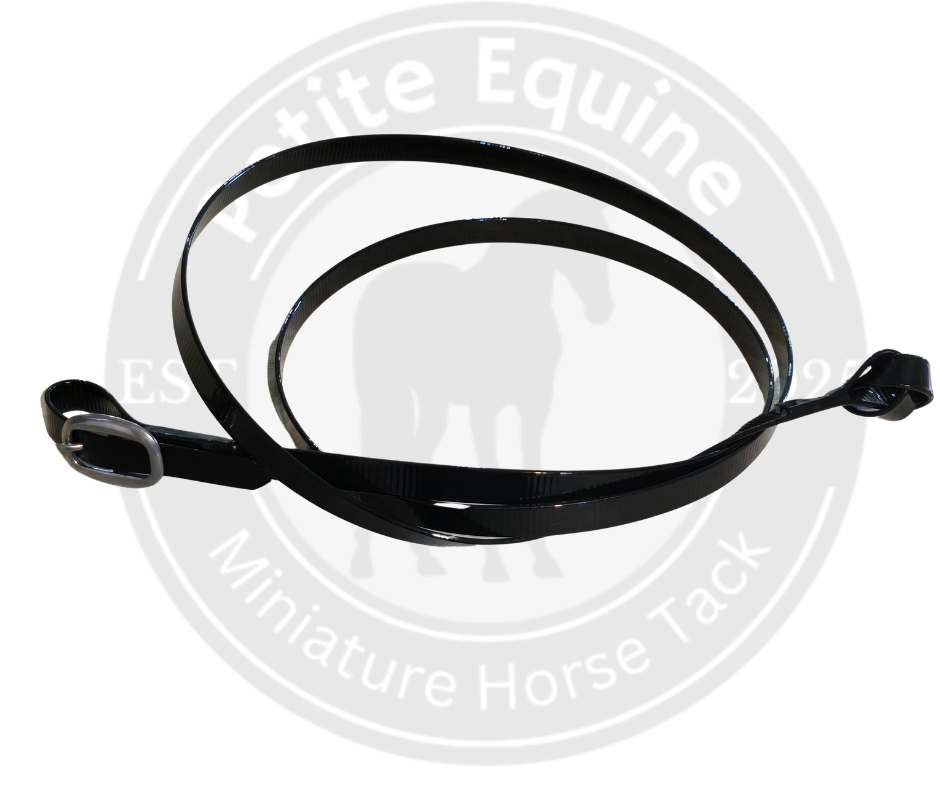 Biothain Show Lead | Chrome Buckle