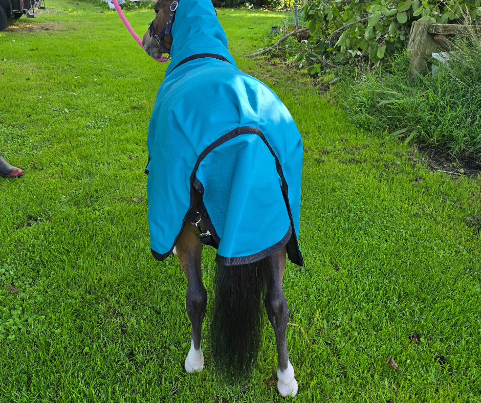 Hurlford Mini Stormbreaker| Petite Fit