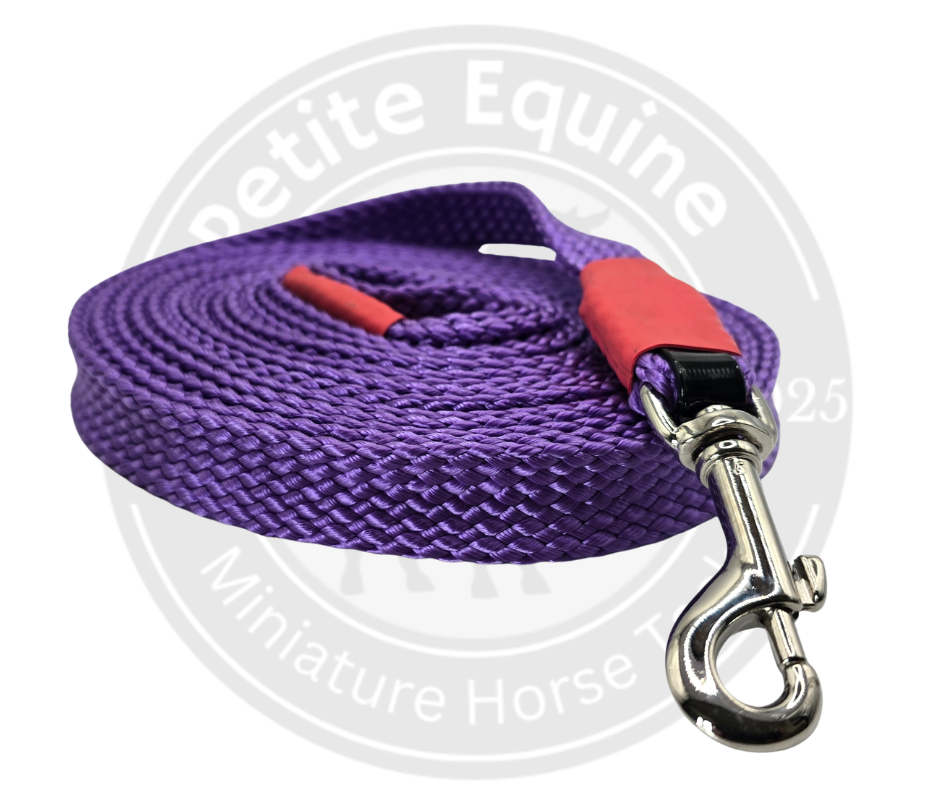 Miniature Horse Lunge Lead