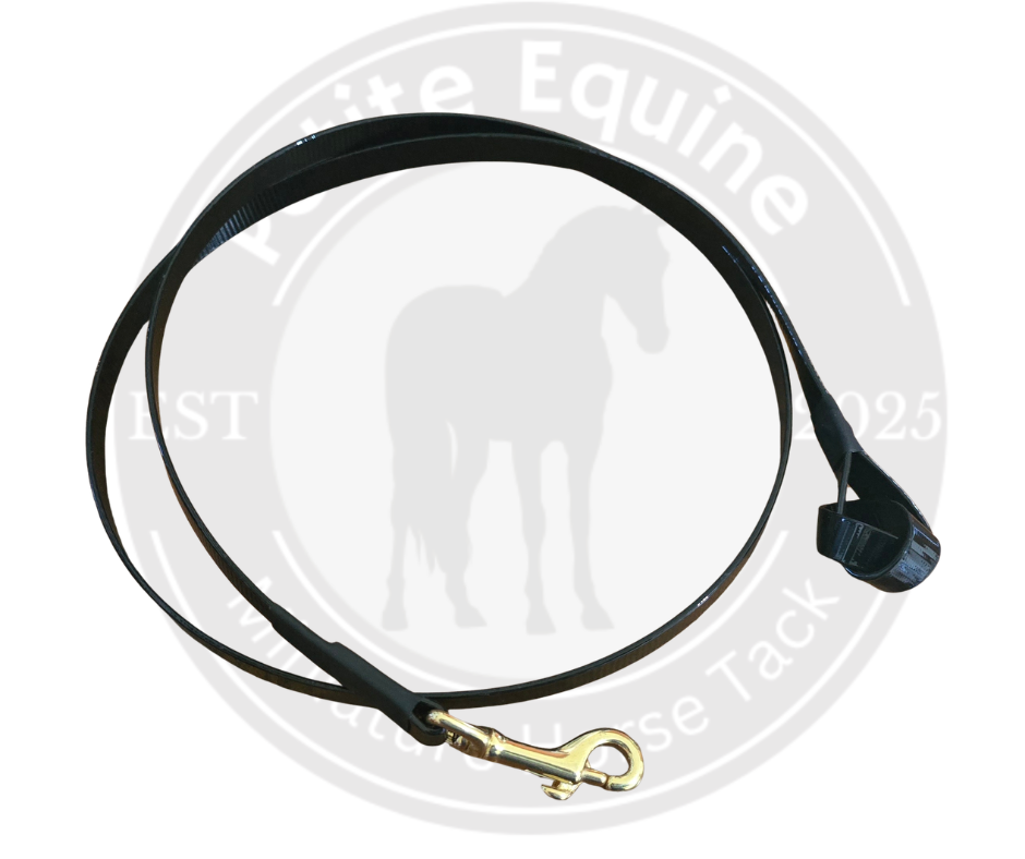 Biothain Show Lead | Chrome Snap Clip